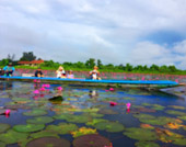 City and Lotus Sea หาดใหญ่ ทะเลน้อย