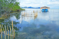 ทัวร์เกาะหมาก: 1 วัน Nature of Rural