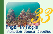 Angel in Rocks 3วัน2คืน