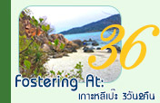 Fostering At: เกาะหลีเป๊ะ