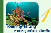 Town and Island 3วัน2คืนหาดใหญ่เกาะหลีเป๊ะ