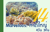 4วัน3คืน Marvelous: หาดใหญ่ 