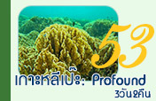 เกาะหลีเป๊ะ: Profound