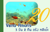 Vena Amoris 3 วัน 2 คืน ตรัง หลีเป๊ะ