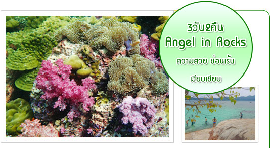 Angel in Rocks 3วัน2คืน