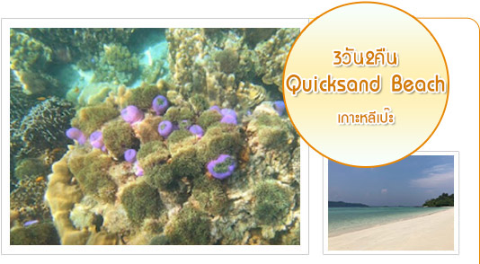 Quicksand Beach: หลีเป๊ะ 3วัน2คืน